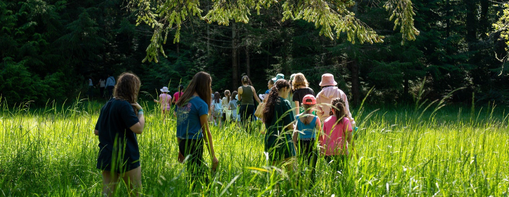 A group of children walking through a sunlit meadow toward the forest during a day camp
